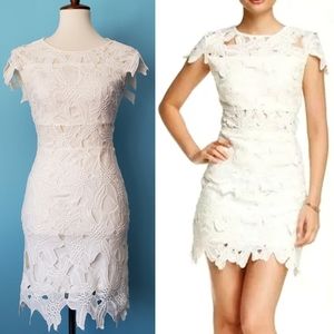 Romeo + Juliet Couture Floral Lace Dress